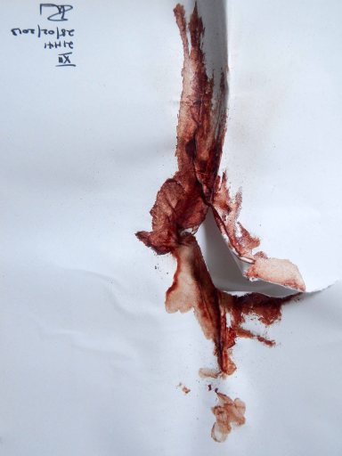 period 12 @ 4h32 pm DSCN5068