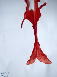 period 8 @ 11h59 DSCN5057