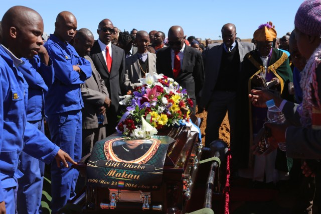 Gift Disebo Makau 1_1283