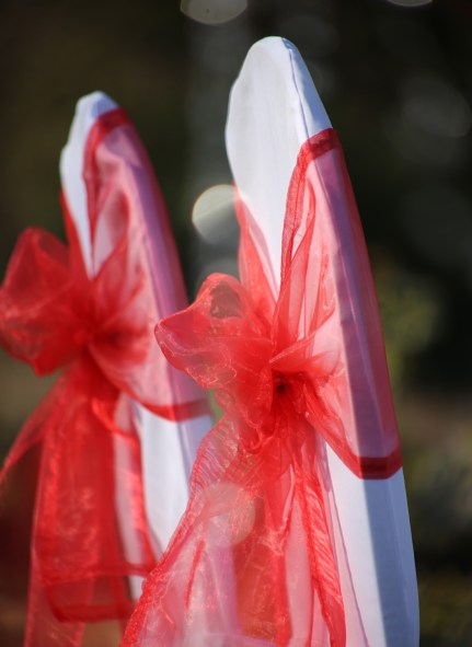 2014 Aug. 7 Love seats_2761