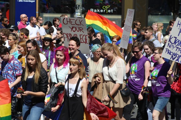 2015 June 27 Oslo Pride lovers_7592