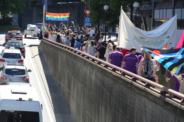 2015 June 27 Oslo Pride lovers_7598